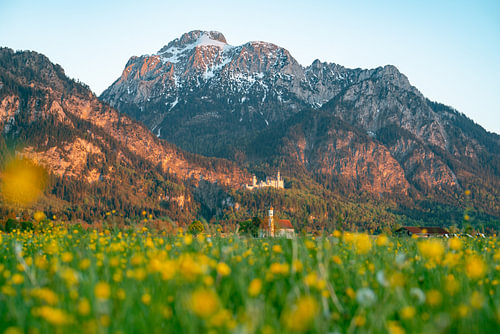 Bloemrijk uitzicht over St. Coloman naar de Säuling en Neuschwanstein