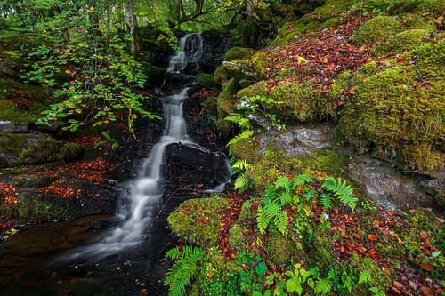 Schotland The Birks Of Aberfeldy watervallen