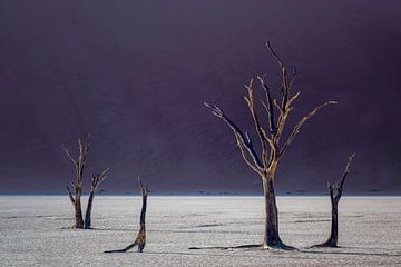 in the shadow of the dune by Peter Poppe