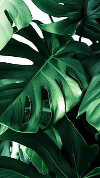 Monstera's Leafy Green by ByNoukk