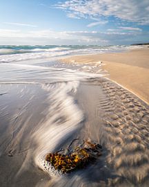 Sturm am Darsser Weststrand von Oliver Preuß