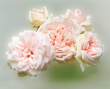 Pink roses van Leopold Brix