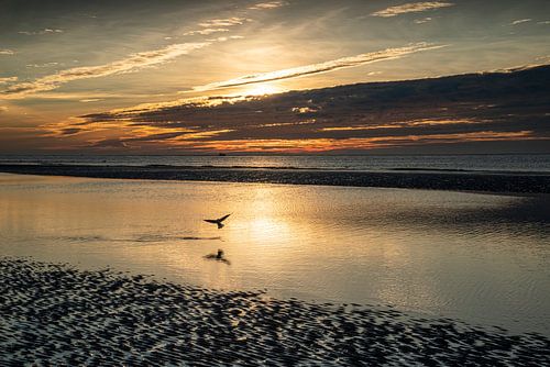Sonnenuntergang auf Ameland