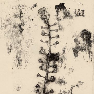 Vintage botanische prints. Bloemen. van Dina Dankers