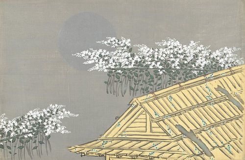 Weiße Blumen am Haus von Kamisaka Sekka, 1909