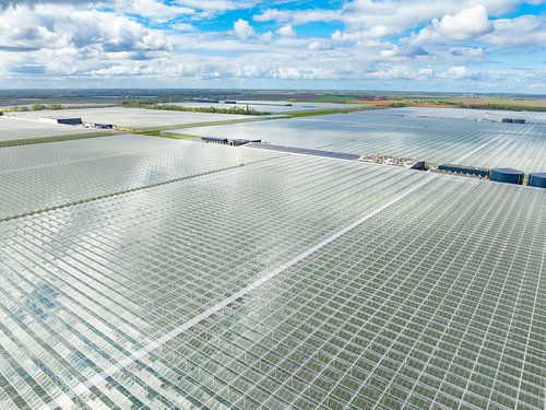 Kas voor het kweken van groenten en bloemen Luchtfoto