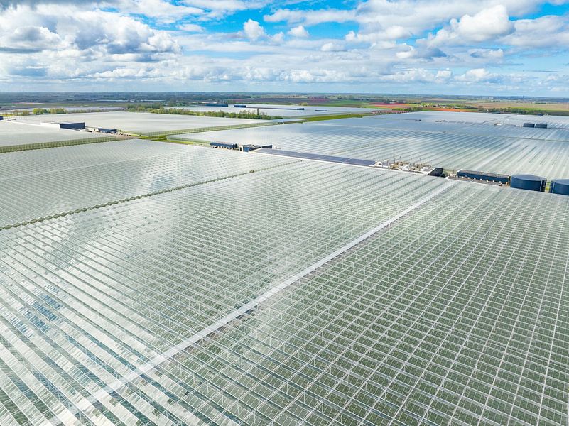 Greenhouse for growing vegetables and flowers aerial view by Sjoerd van der Wal Photography