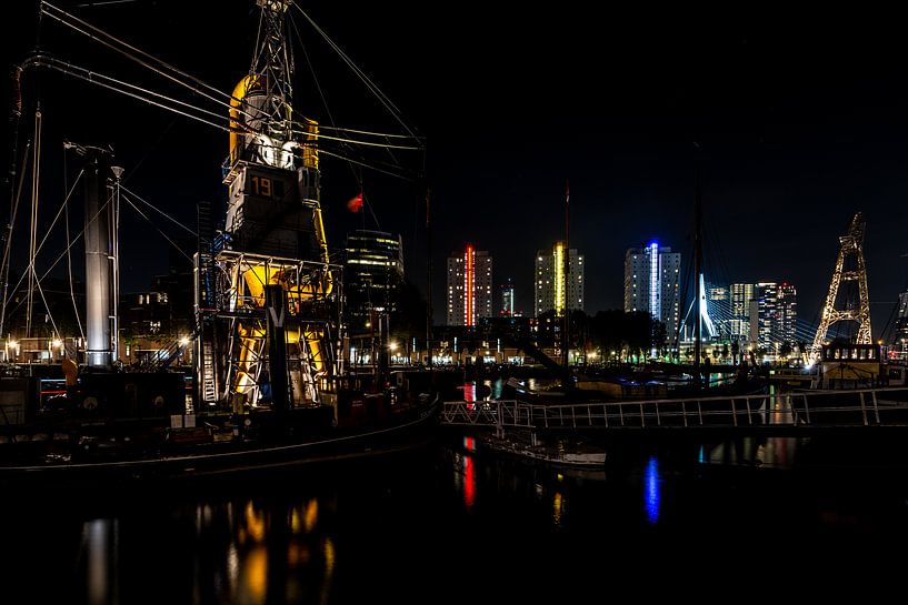 Rotterdam skyline over de haven met de Erasmusbrug in de verte van Brian Morgan