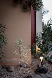 Serene and calm by Lieke Caminada