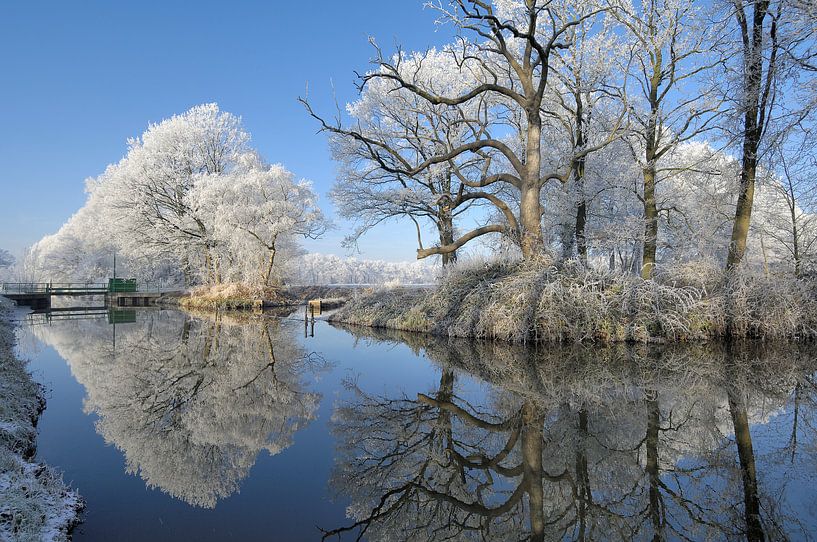 Reflectie van Willem van Leuveren Fotografie