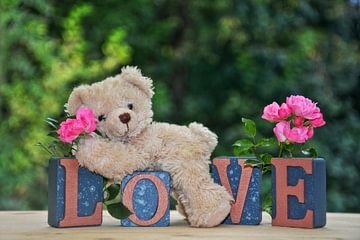 Teddy in de liefde van Claudia Evans