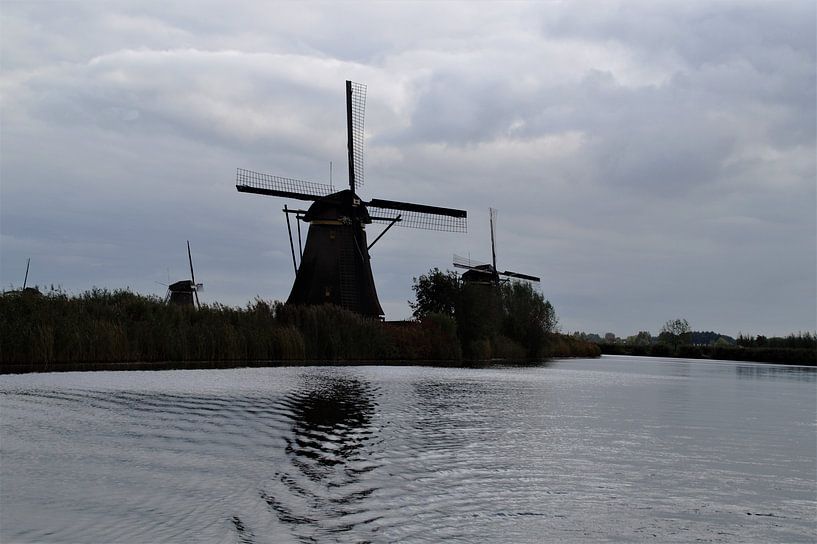 Kinderdijk, Alblasserdam, die Niederlande - Mühlenerbe von Maurits Bredius