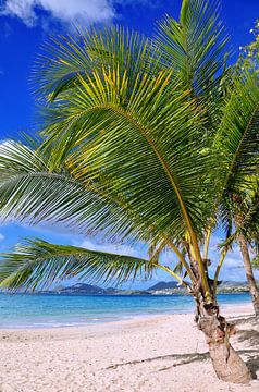 Strand op het Caribische eiland St Lucia van W. Woyke