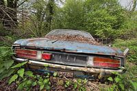 Urbex blue ford Auto im Wald