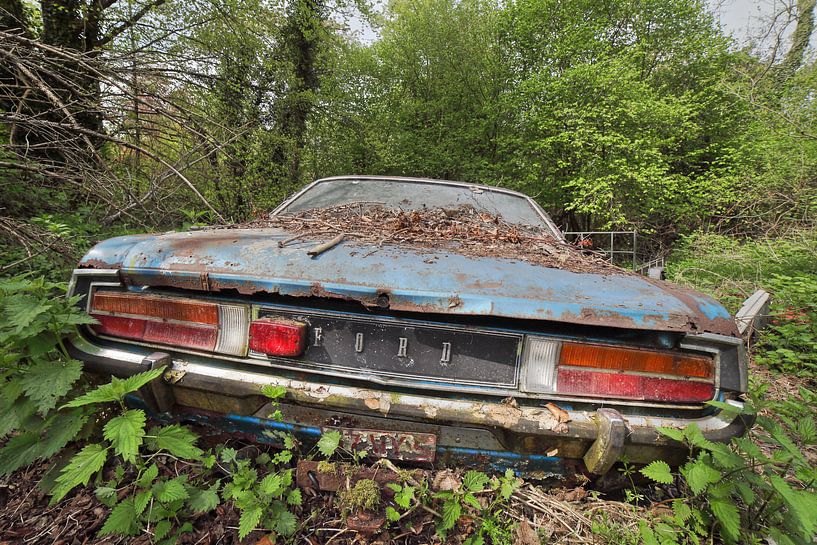 Urbex blue ford Auto im Wald von Dyon Koning