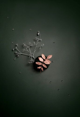 La collection 99 sur Lise-Marie Schwander