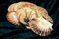Anhänger mit Zeeland Schmuck
