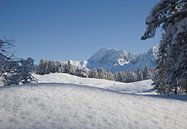 Der verschneite Wörner von Fabian Roessler Miniaturansicht