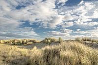 Beautiful dunes with the beautiful Dutch clouds