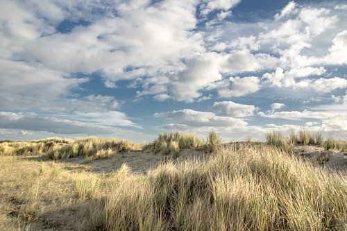 Beautiful dunes with the beautiful Dutch clouds