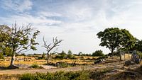 BORNHOLM || With its rough nature || Denemarken