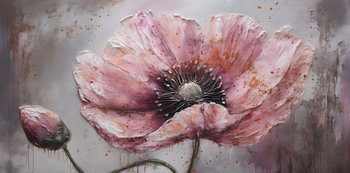 Roze klaproos