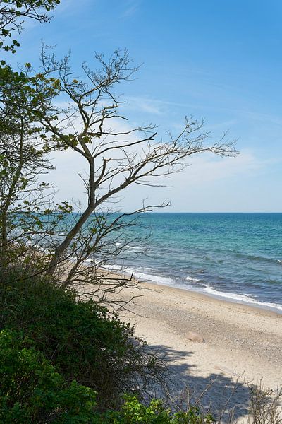 Steep coast between the towns of Kühlungsborn and Heiligendamm by Heiko Kueverling