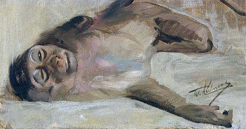 Makaak, WILHELM KUHNERT, Ca. 1905