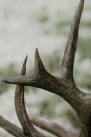 hertengewei