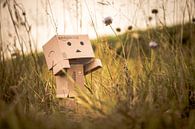 Danbo ziet een bloem van .  cathenco thumbnail