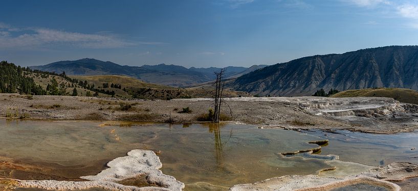 Mammoth Hot Springs, Yellowstone National Park, USA by Jeroen van Deel