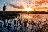 Ondergaande zon