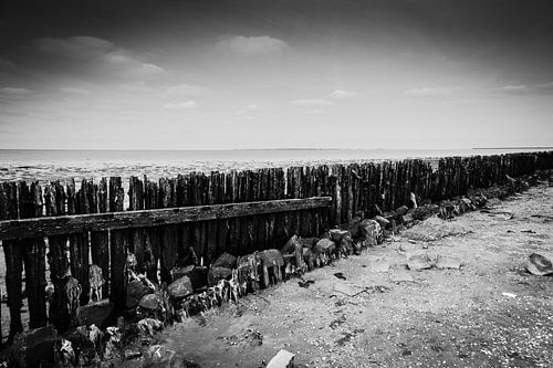 Lauwersoog Zwart-Wit