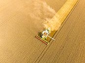 Combine die tarwe oogst in de zomer, van bovenaf gezien van Sjoerd van der Wal Fotografie thumbnail