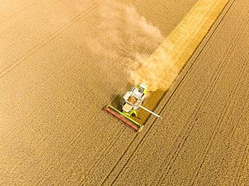 Combine die tarwe oogst in de zomer, van bovenaf gezien van Sjoerd van der Wal