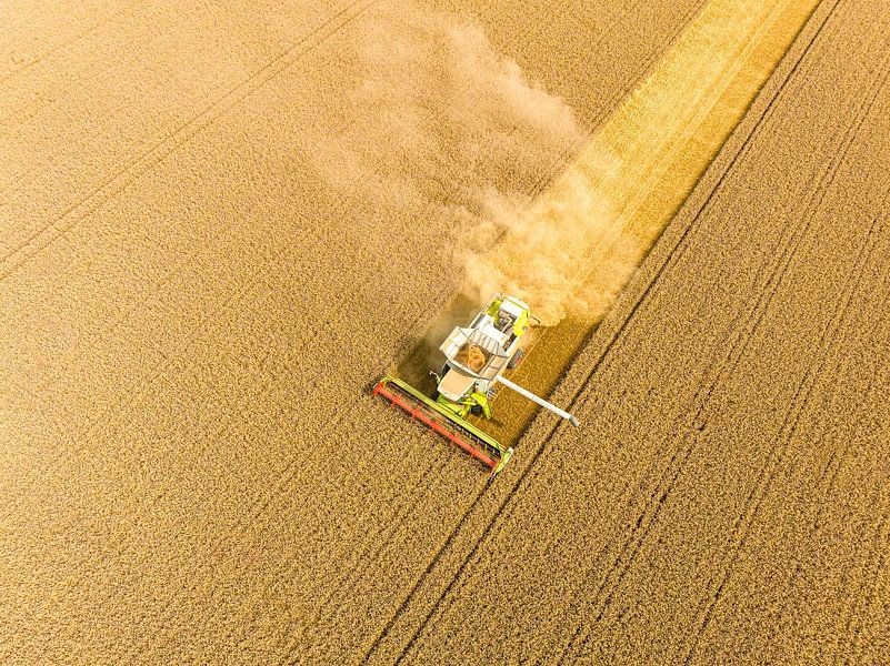 Combine die tarwe oogst in de zomer, van bovenaf gezien van Sjoerd van der Wal Fotografie