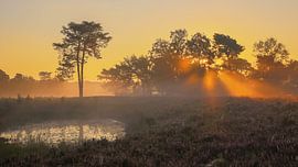 Sunrise Beegderheide (L) by Marcel Ohlenforst