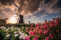 Zonsondergang bij de Piepermolen in Rekken