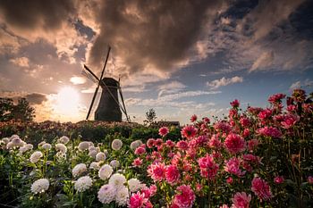 Sonnenuntergang auf der Piepermolen in Rekken