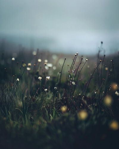 Herfstwandeling bij zonsopgang