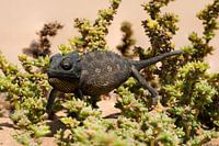 Namibia
