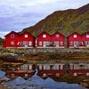 Typische vissershuisjes in Lofoten van Roy Poots