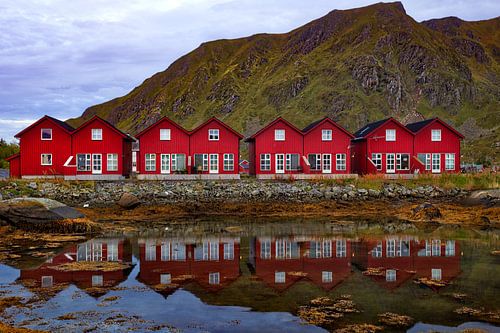 Typical fishermen's cottages in Lofoten