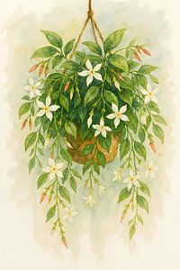 Hangplant met Toscaanse jasmijn en witte bloemen (AI) (rustig, fris, schilderij, zachte, kleuren, natuur, realistisch)