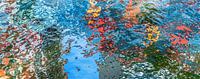 Reflecties in het water