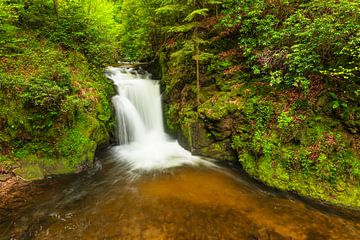 Chute d'eau de Geroldsau, Forêt-Noire, Allemagne sur Markus Lange