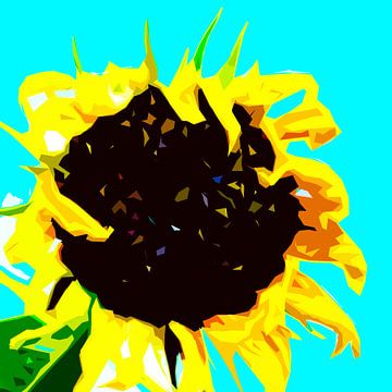 Sonnenblume