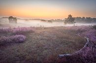 Mistige zonsopkomst op de Brunssummerheide van John van de Gazelle fotografie thumbnail