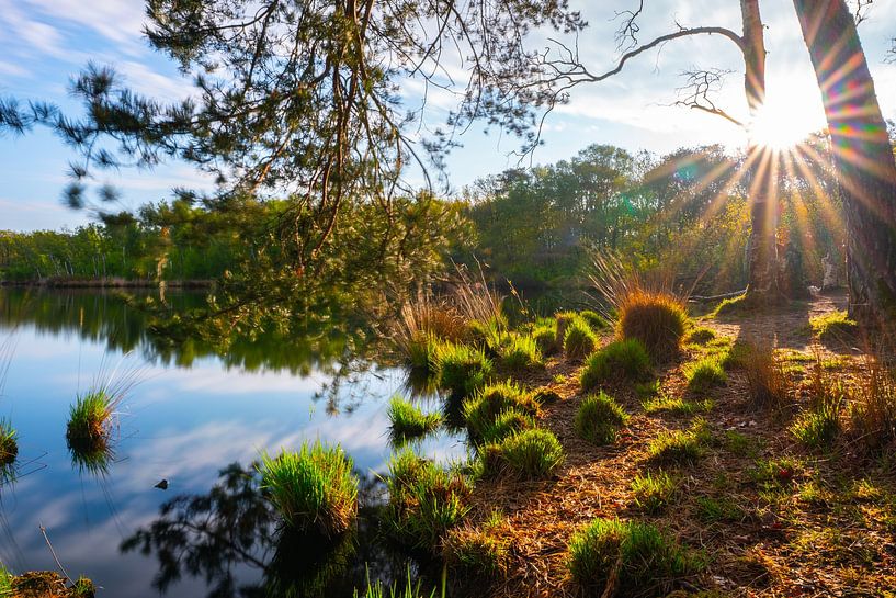 Zonopkomst Zeegserduinen in Drenthe van Yvonne de Bondt