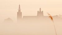 Den Bosch ontwaakt uit de mist van Jasper van de Gein Photography thumbnail